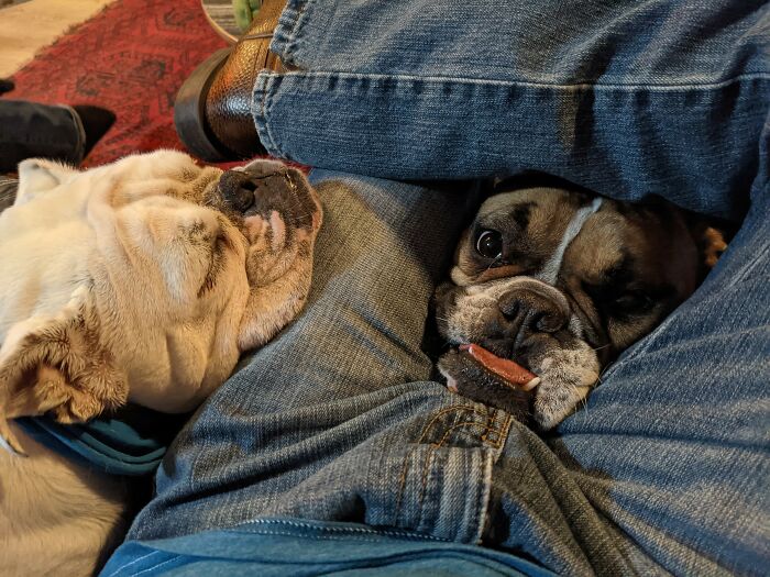 Personal Space? What's Personal Space?