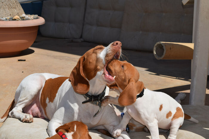 No Such Thing As Personal Space When You Have Kids