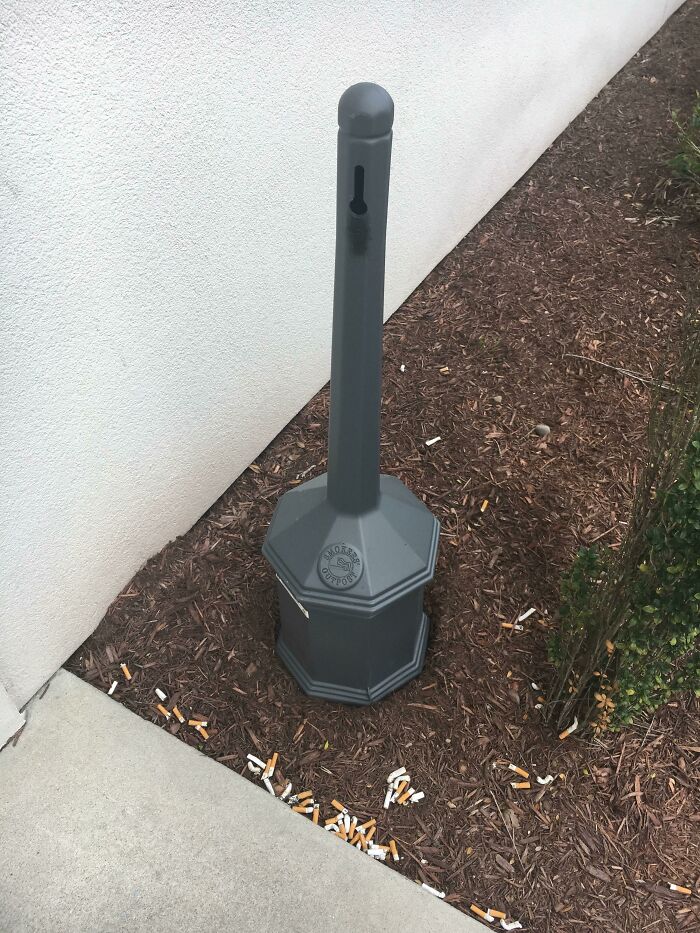 May I Present: My Coworkers