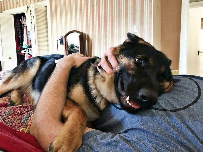 She Is A Professional Space Invader But I Love It