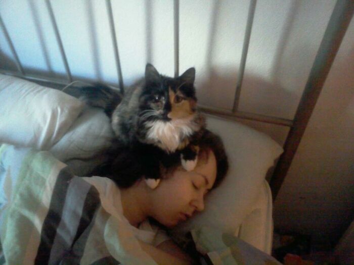 My Boyfriend Did Take This Of My Adorable Lucy Invading My Headspace While I Was Fast Asleep