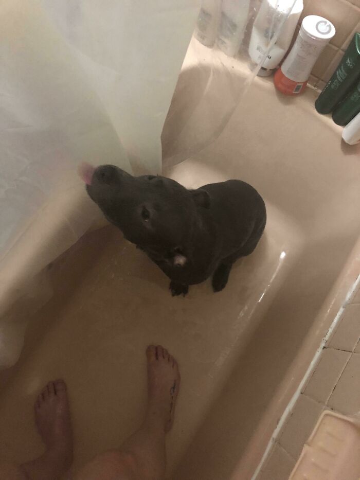 She Doesn’t Believe In The Concept Of Personal Space