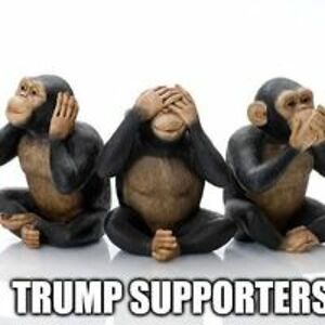 kirchnerlloyd avatar