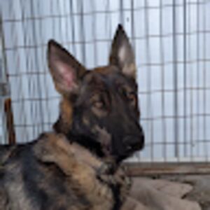 brittneyjessop avatar