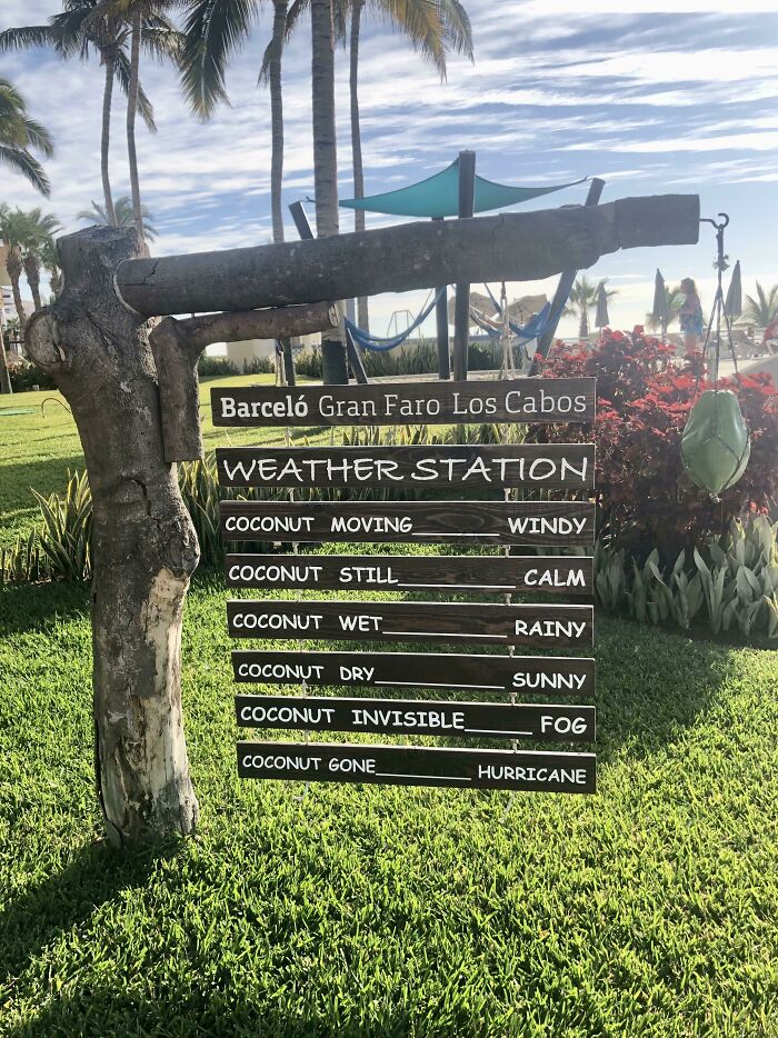 My Hotel’s Coconut Meteorologist