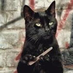 airclaire2000 avatar