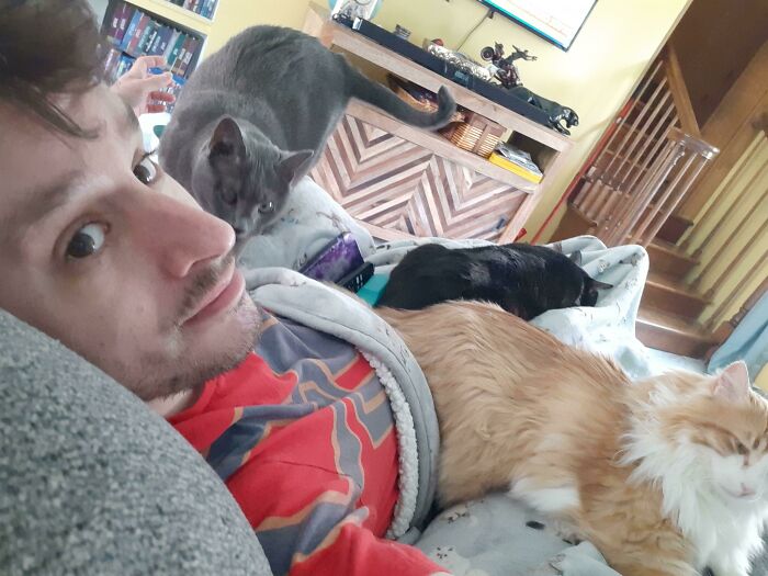 The Life Of Being A Cat Dad