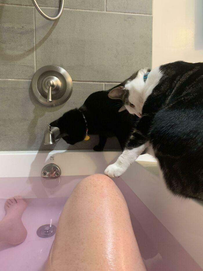 I Get No Personal Space