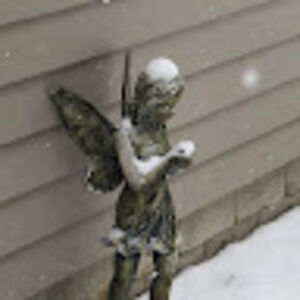 sharilavender-hummel avatar