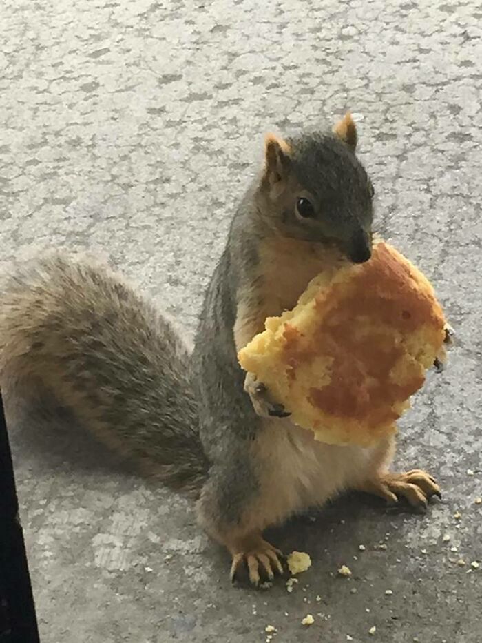 Mi suegra tiene una tienda. Este pequeñín espera todos los días a que le den una golosina