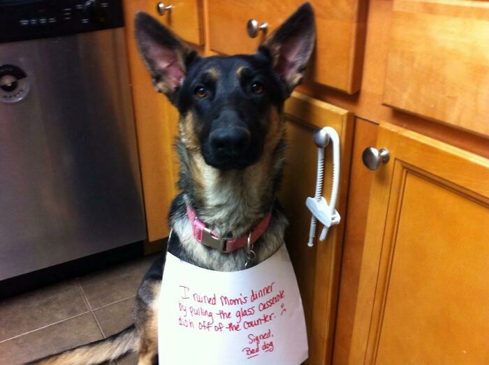 My Mother-In-Law Posted This On Her Facebook Today