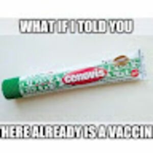 yolandasteger avatar