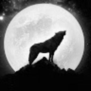 wiktoriarymut avatar