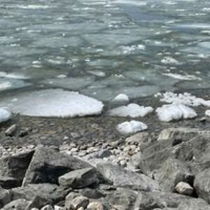 gaylekliemann avatar