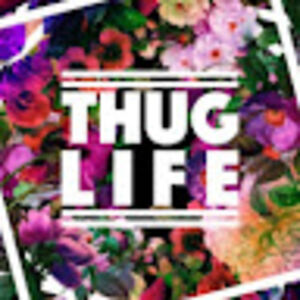 treedomwitlove avatar