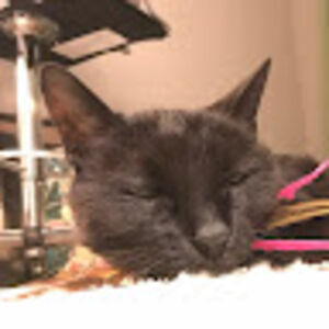 yvonnevillescas avatar