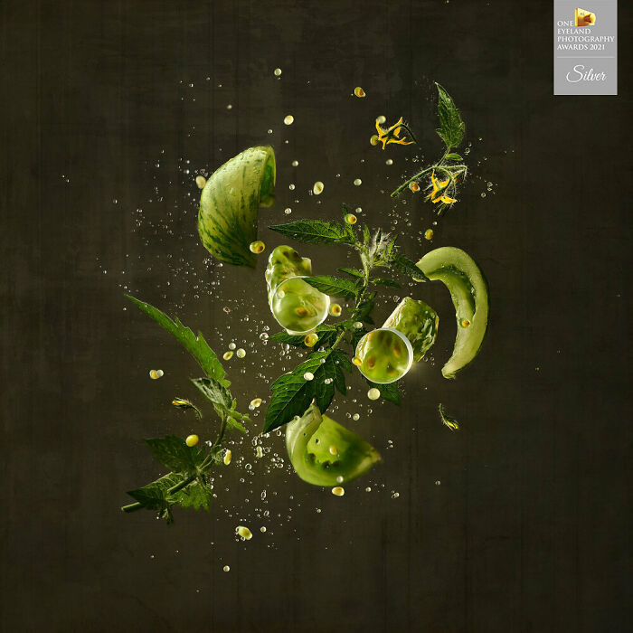 "Seeds Series" By Wesley Dombrecht. Silver In Fine Art, Still Life