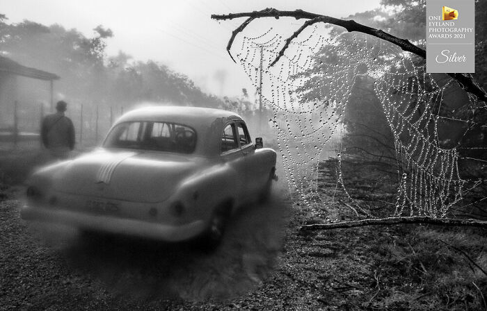 "Absolut Cuba" By Raul Canibano. Silver In Book, Fine Art