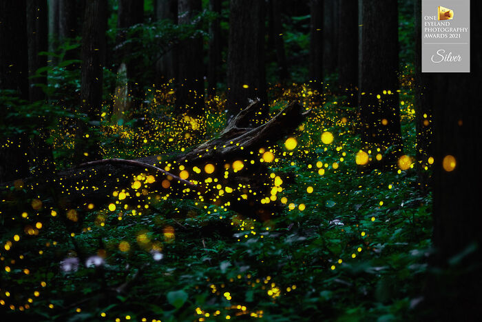 "Dance" By Naoya Yoshida. Silver Special, Night Photography