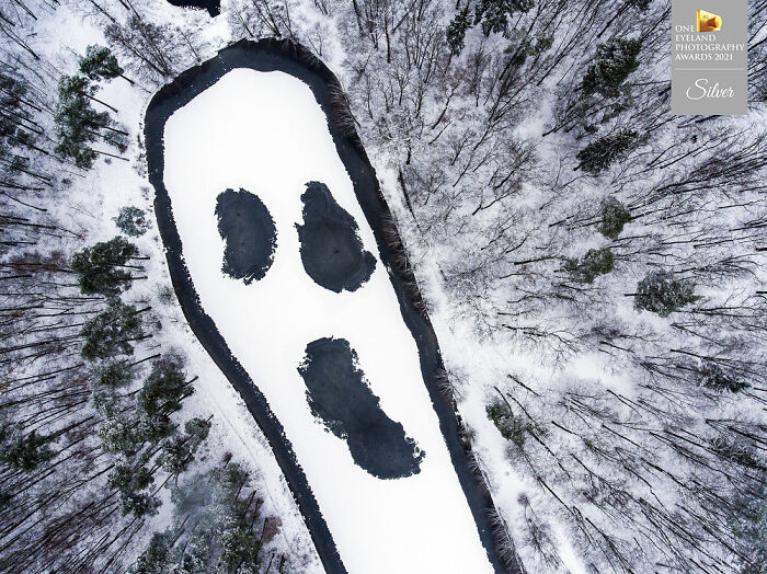 "Scream Of The Forest" By Arkadiusz Dalak. Silver In Nature, Aerial