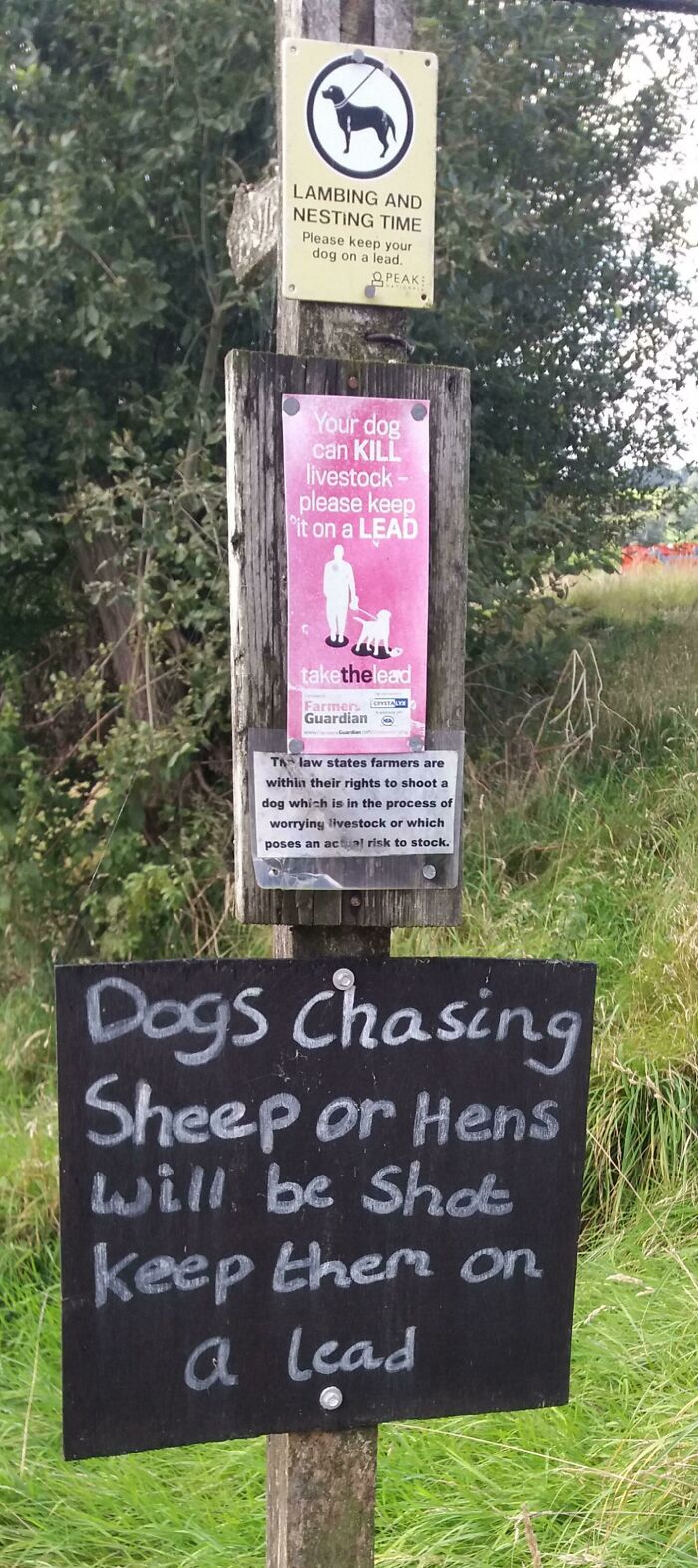 On A Public Trail Through Farmland In The Peak District, UK
