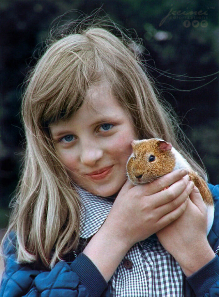 The Young Princess Diana With Her Guinea Pig, Peanut - 1972