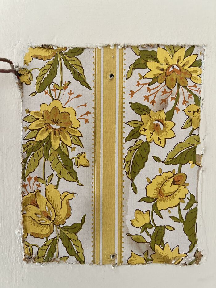 Wallpaper Found In The Dining Room Behind The Doorbell Chimes