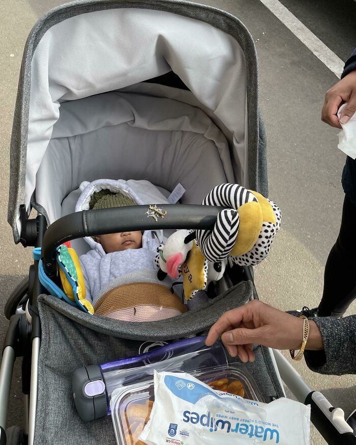 Bird Nearly Pooped On My Niece