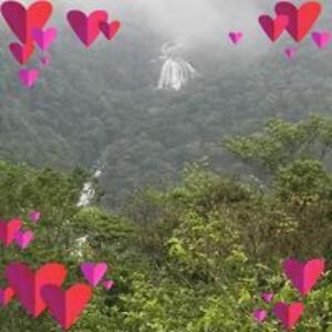 krystyna_cooper avatar