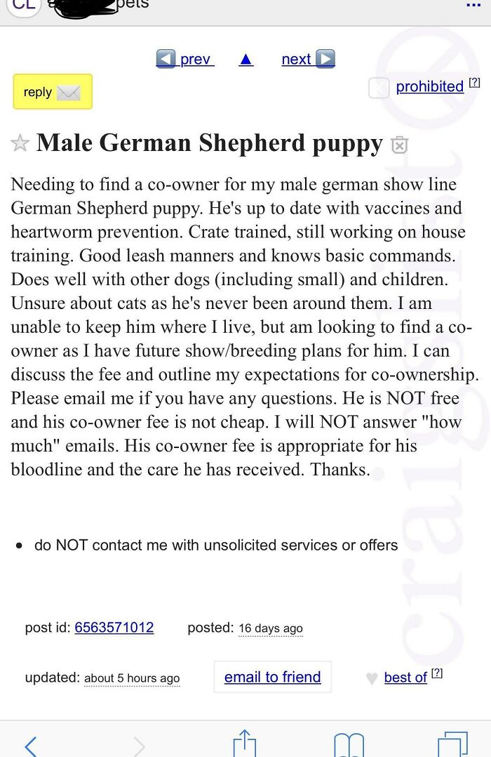 Pay Me To Pet Sit My Dog