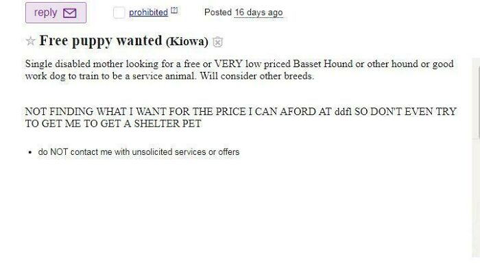 Free But No Shelter Pets