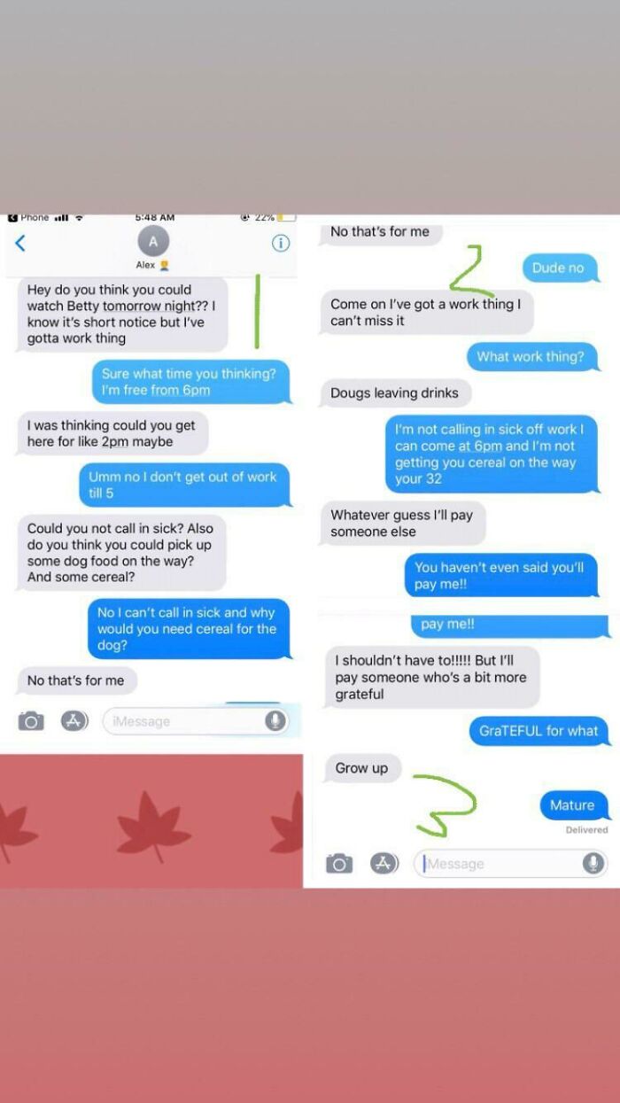 Call In Sick To Work To Watch My Dog For The Day