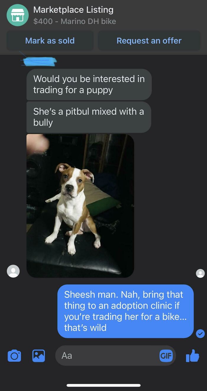 Person Offered Me There Dog For My Bike… What Should I Do?