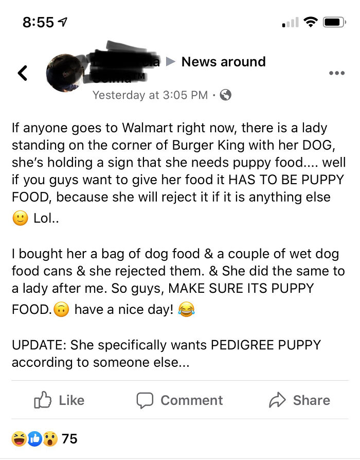 Even Dogs Have Standards That Must Be Met