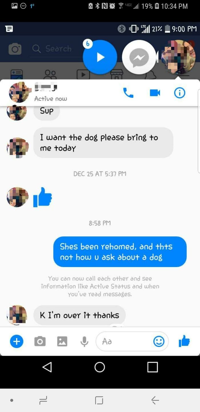 You Bring Me Dog Now