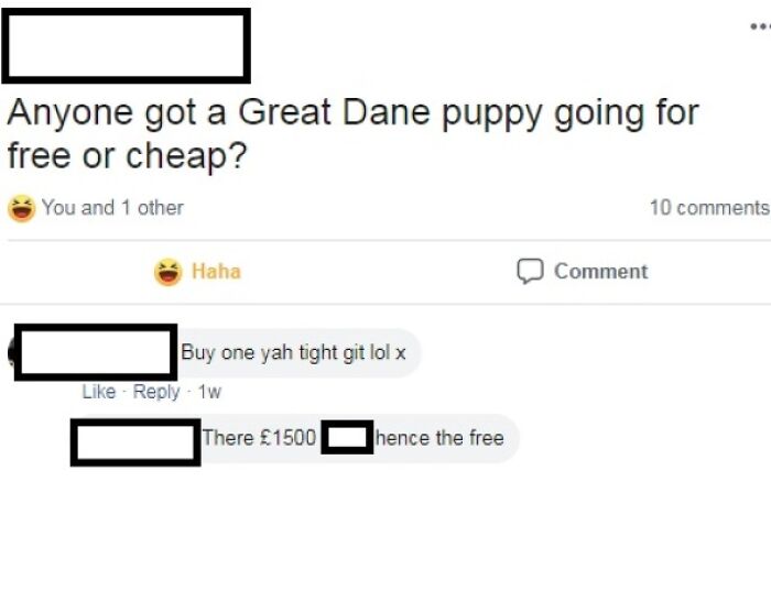 Give Me Free Dog...aye No Bother