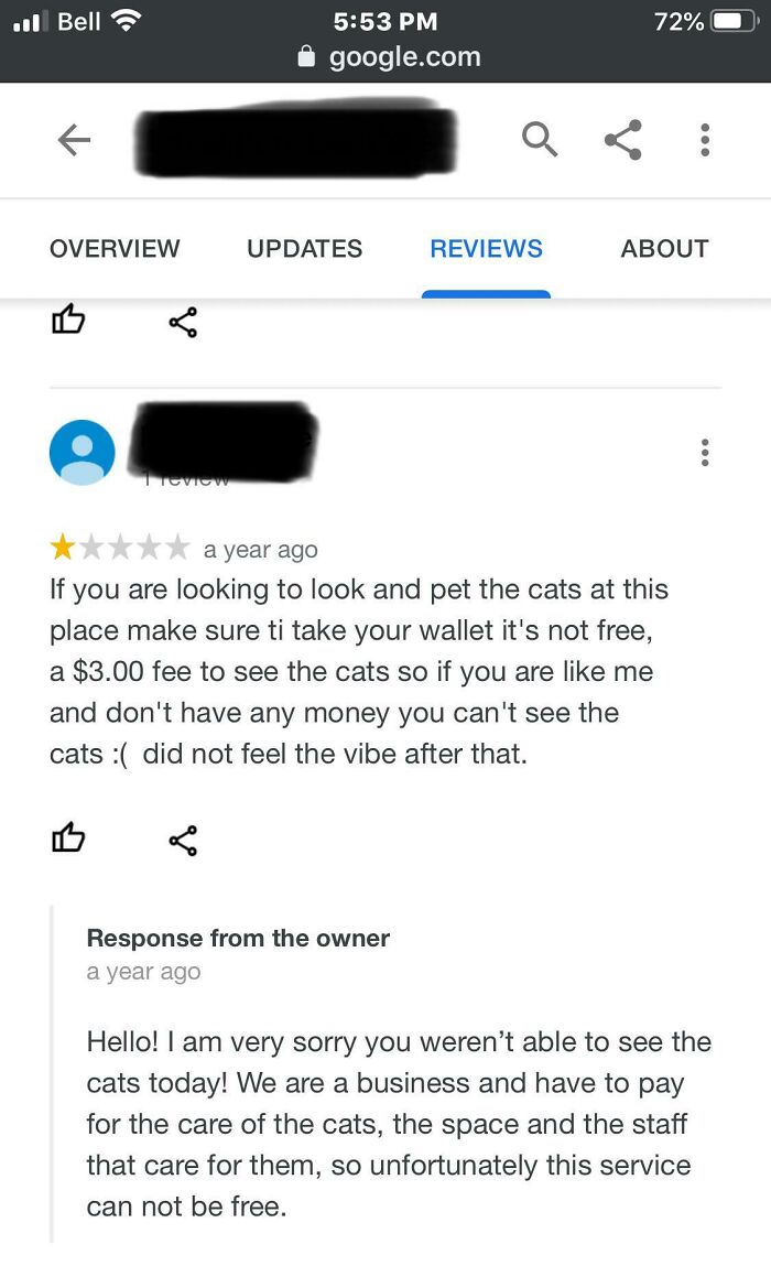 In My City There’s A Cat Cafe That Has A Room With Cats Up For Adoption, Where You Can Play With Them And Have A Cup Of Coffee. Some People Don’t Understand These Proceeds Help Care For The Cats