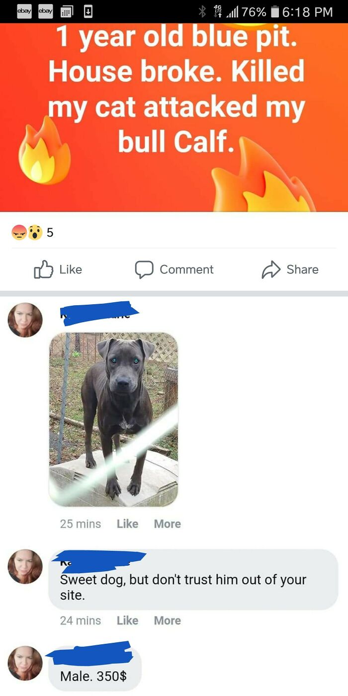 Giving My Murderdog Who Killed A Cat... For 350!