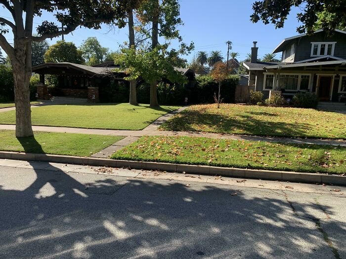 Two Types Of Neighbors