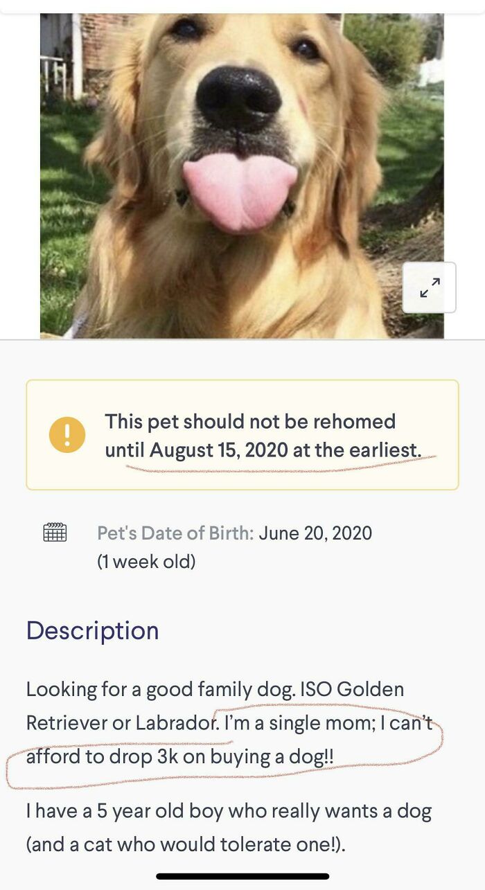 I Can’t Afford A 3k Dog, So Just Give Me One For Free