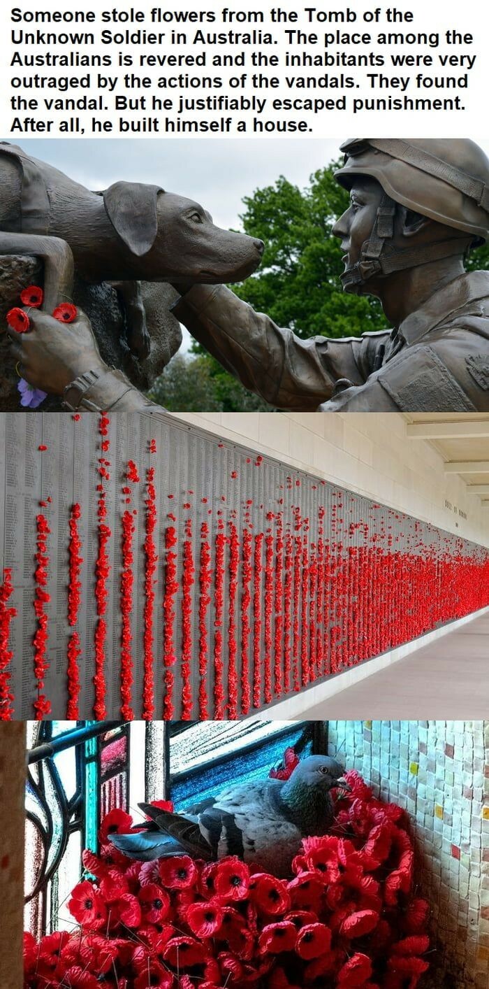 Apologies If This Has Already Been Posted