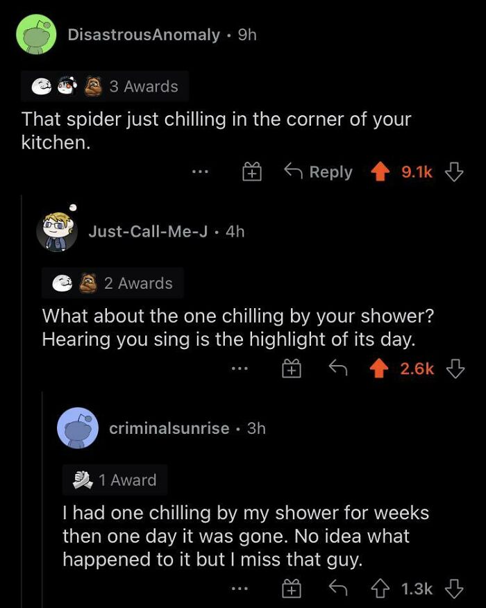 Spiders Get A Bad Rep