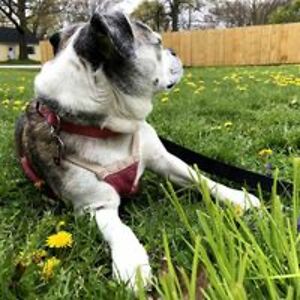 spam_belletink avatar