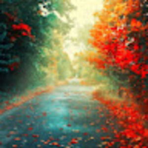 christineknepper avatar