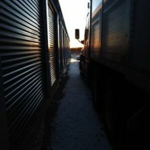 chicagopitbull avatar