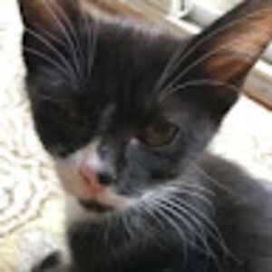 leahzzstumerritt avatar