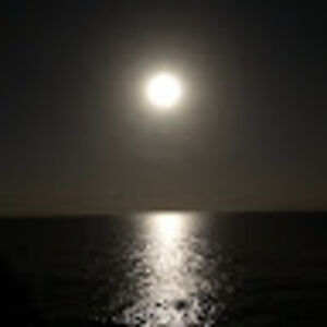 michaelguyler avatar