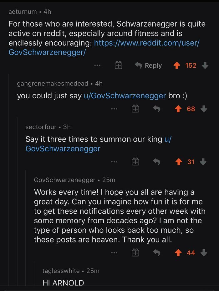 Arnold Schwarzenegger Is So Wholesome On Reddit