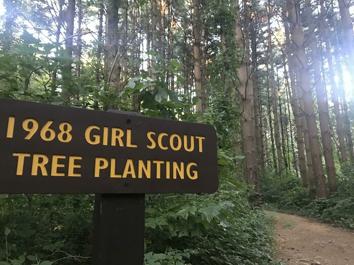 Thank You 1968 Girl Scouts