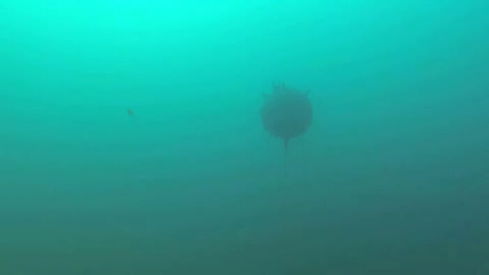 Dark murky underwater scene depicting deep waters with a mysterious floating object, triggering thalassophobia fears.